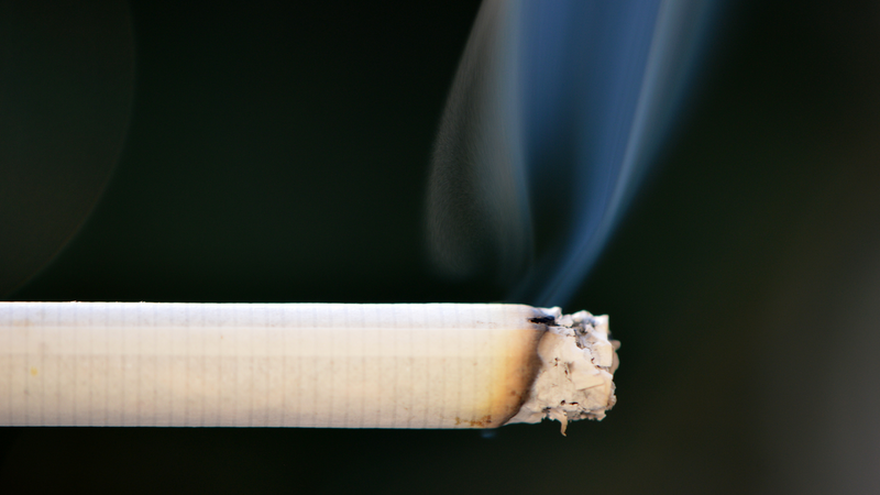 clove cigarettes without tobacco Zanzibar Herbal Clove Smokes